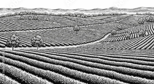 Porcelain design depicting a neatly arranged tea garden with dark grey colour