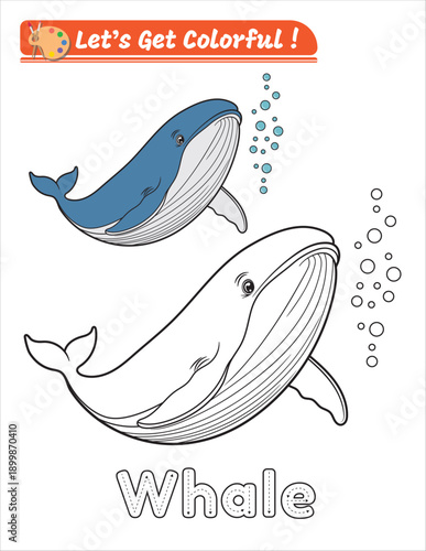 Whale coloring page swimming underwater. Friendly cartoon sea animal for kids coloring books, learning activities, and creative fun. Main object isolated from background.