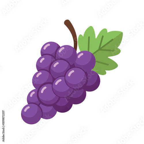 Fresh Purple Grapes Bunch with Green Leaf Vector Illustration