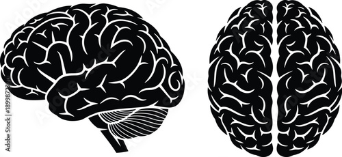 Human brain icon set, lateral and top views with cerebral folds, black and white vector illustration, anatomy and neuroscience theme, isolated on white background