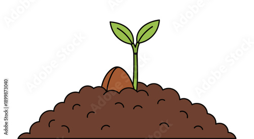 Vector illustration of a small green plant shoot growing from a seed in the soil.