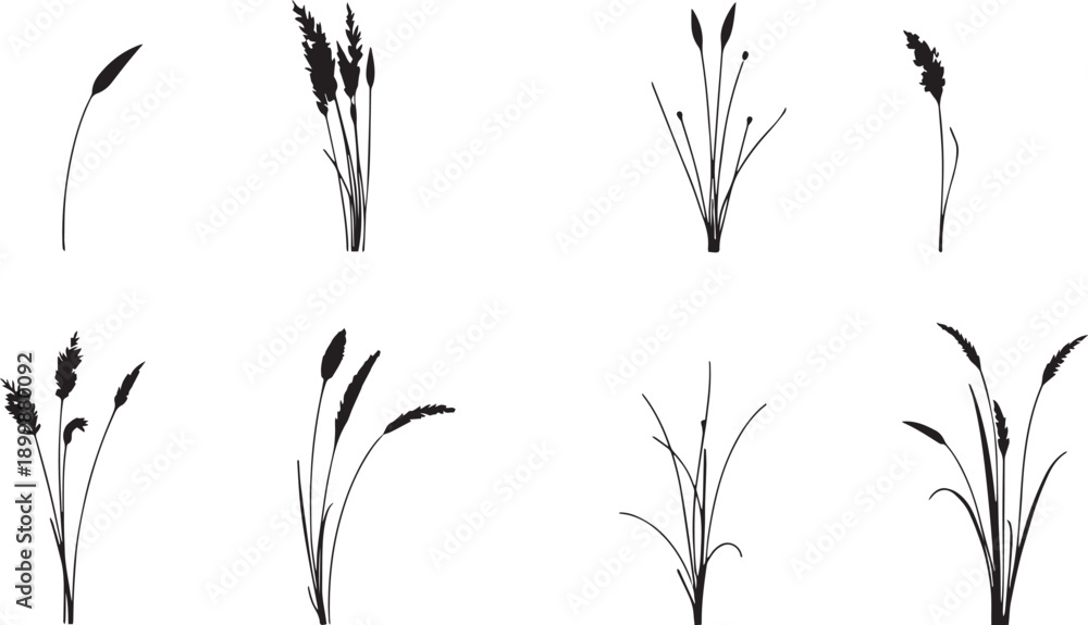 Fototapeta premium Set of minimalistic flat design plants silhouettes. Hand drawn vector illustration