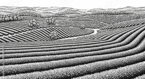 Porcelain design depicting a neatly arranged tea garden with dark grey colour