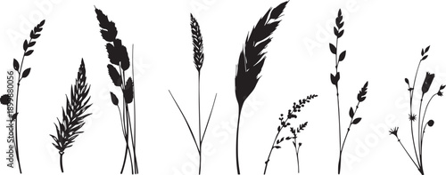 Set of minimalistic flat design plants silhouettes. Hand drawn vector illustration