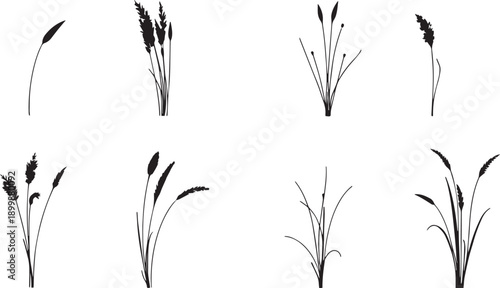 Set of minimalistic flat design plants silhouettes. Hand drawn vector illustration