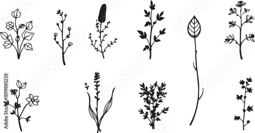 Set of minimalistic flat design plants silhouettes. Hand drawn vector illustration