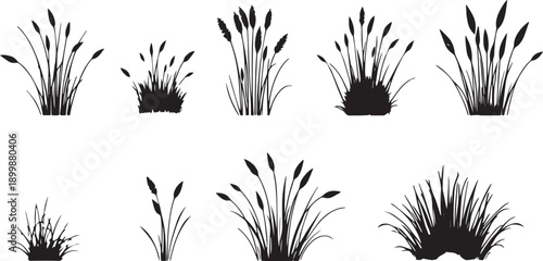 Set of minimalistic flat design plants silhouettes. Hand drawn vector illustration