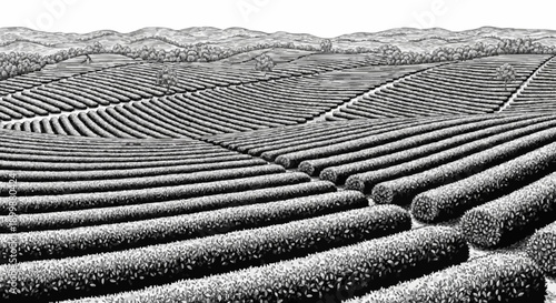 Porcelain design depicting a neatly arranged tea garden with dark grey colour
