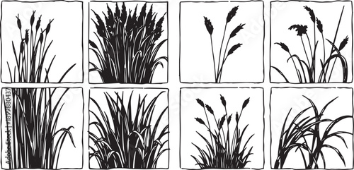 Set of minimalistic flat design plants silhouettes. Hand drawn vector illustration