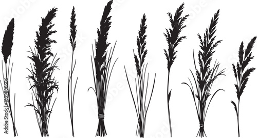 Set of minimalistic flat design plants silhouettes. Hand drawn vector illustration