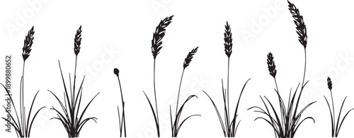 Set of minimalistic flat design plants silhouettes. Hand drawn vector illustration