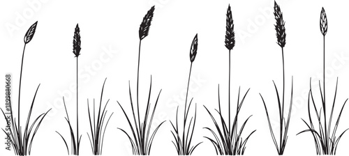 Set of minimalistic flat design plants silhouettes. Hand drawn vector illustration