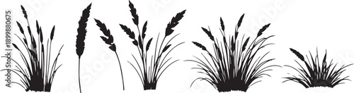 Set of minimalistic flat design plants silhouettes. Hand drawn vector illustration