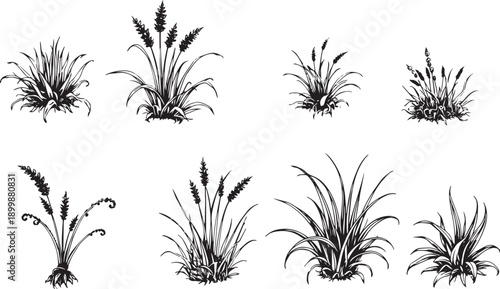 Set of minimalistic flat design plants silhouettes. Hand drawn vector illustration