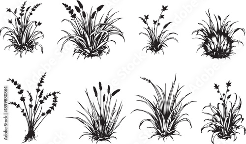 Set of minimalistic flat design plants silhouettes. Hand drawn vector illustration