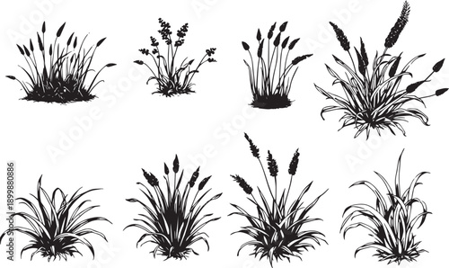 Set of minimalistic flat design plants silhouettes. Hand drawn vector illustration