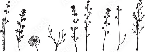 Set of minimalistic flat design plants silhouettes. Hand drawn vector illustration
