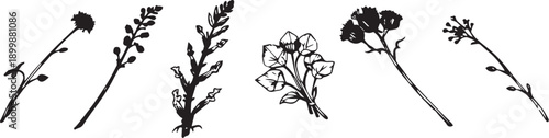 Set of minimalistic flat design plants silhouettes. Hand drawn vector illustration