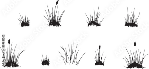 Set of minimalistic flat design plants silhouettes. Hand drawn vector illustration