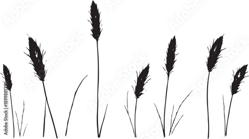 Set of minimalistic flat design plants silhouettes. Hand drawn vector illustration