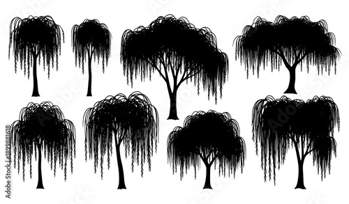 Willow tree silhouette vector set with elegant drooping branches in minimalist botanical style