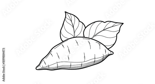 Simple black and white outline illustration of a whole sweet potato with two leaves, perfect for coloring books or food icons.
