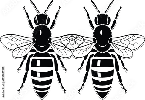 Bee silhouette illustration set with detailed wings and striped bodies isolated on white background representing nature, insects and pollination vector artwork