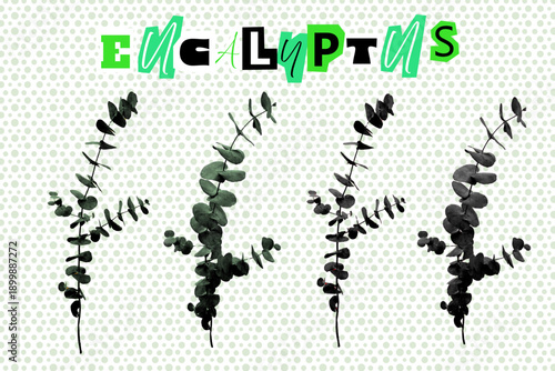 Stylized eucalyptus collage with halftone background. Artistic black and green foliage design with bold lettering. Perfect for modern posters, botanical prints, and creative layouts.