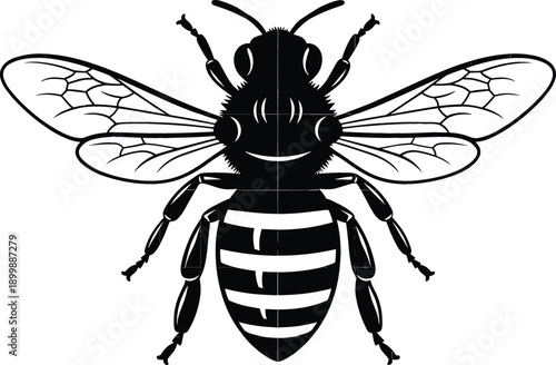 Bee silhouette illustration with detailed wings and striped body isolated on white background representing insect, nature and pollination vector artwork