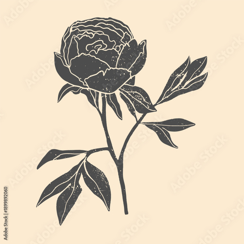 Hand-drawn vector cflower clipart  in block print style. Simple monochrome linocut illustration.	