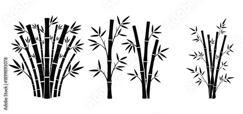 Elegant black bamboo silhouettes on white background