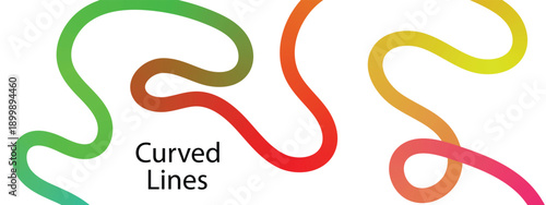 colorful gradient curved lines. Modern, dynamic, and creative illustration perfect for graphic projects, textures, art. 
