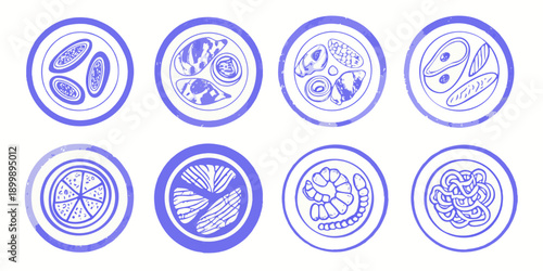 Illustrative depiction of parasite eggs in varying stages of development