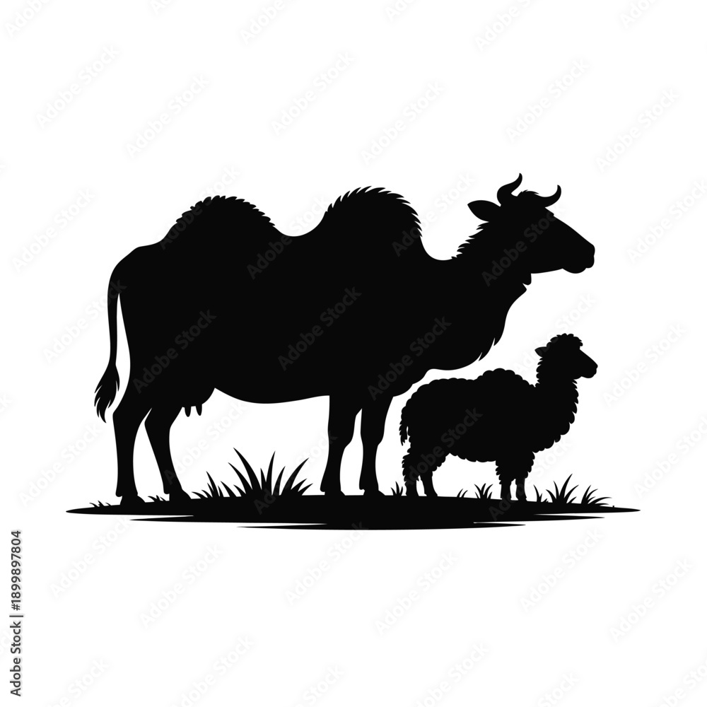 Obraz premium Silhouette of a camel and a young lamb standing in grassland