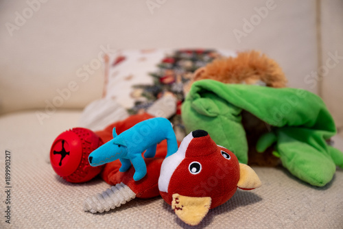 Valokuva Colorful dog toys and plush animals scattered on soft sofa background