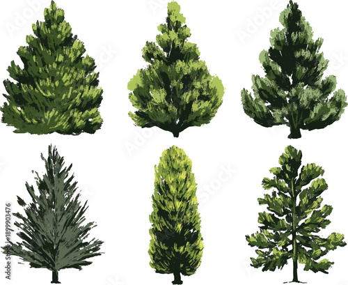 Evergreen Conifer Illustrations Set. A collection of stylized evergreen trees and conifers in various shapes and textures, perfect for nature-themed architectural visualization and digital landscape d