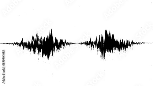 Fotografija Horizontally mirrored, jagged black waveform against a white background, evoking intense sound or data spikes