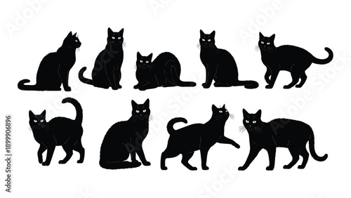 Eight black cats in various poses on a white background Vector
