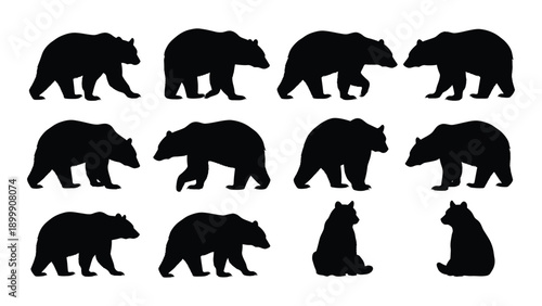 A collection of twelve black silhouettes of bears in various poses and sizes Vector