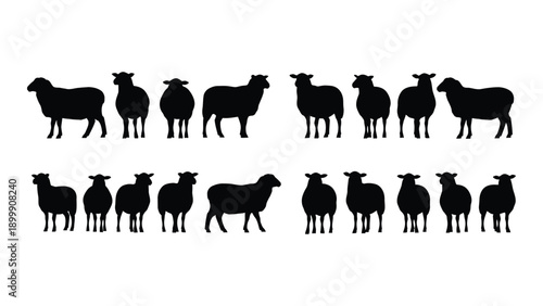 A diverse collection of sheep silhouettes in various poses and orientations Vector