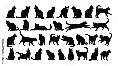 A diverse collection of black silhouette cats in various poses and positions Vector