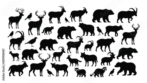 A diverse collection of various animal silhouettes in a monochromatic design. Vector