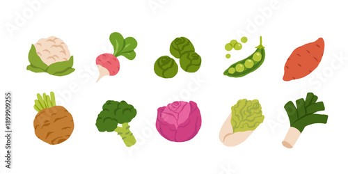 Collection of various vegetables isolated on white background. Healthy vegetarian food. Bundle of organic natural crops, salads, greens and herbs. Colorful vector illustration in flat cartoon style