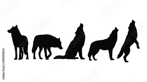 A silhouette illustration of a wolf's life cycle from puppy to adult. Vector
