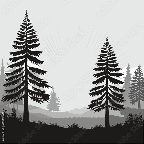 Sunlight filtering through towering redwood trees in a lush forest during early morning hours