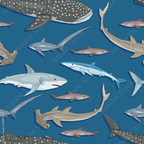 Vector Seamless Pattern of Cartoon Sharks