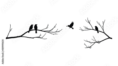 Three birds perched on branches with one bird in flight between them Vector