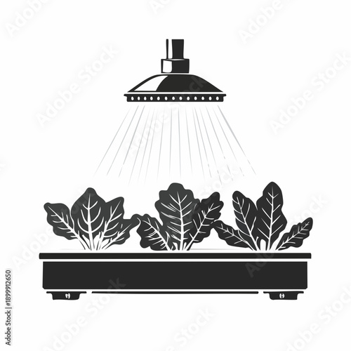 Fresh leafy greens under misting system at produce section of grocery store, providing freshness to organic vegetables and healthy food choices.