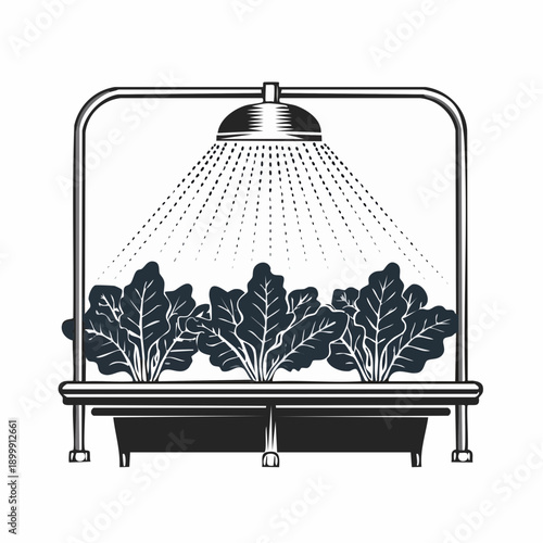 Fresh leafy greens under misting system at produce section of grocery store, providing freshness to organic vegetables and healthy food choices.