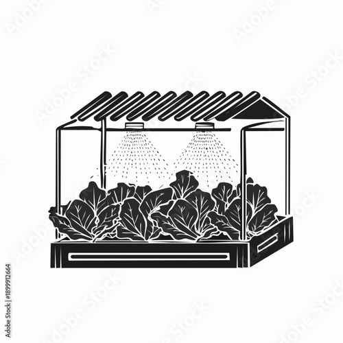 Fresh leafy greens under misting system at produce section of grocery store, providing freshness to organic vegetables and healthy food choices.